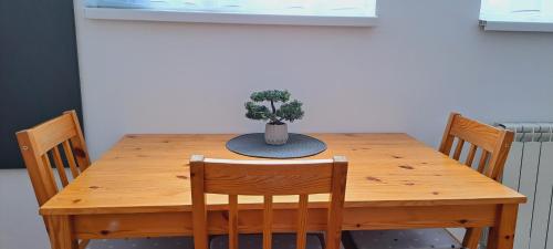 베오그라드 Magellan Apartments 3성급 게스트하우스 수영장