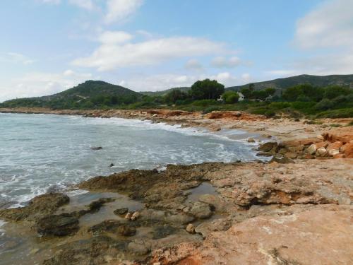 Patio 1 in Font Nova