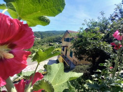  La valle fiorita, Pension in Soviore