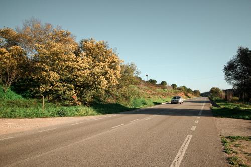 A.TI.TUDO Nature - image 6