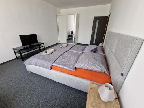 Apartmán U Petra (Apartman U Petra) in 卡羅維瓦利郊區