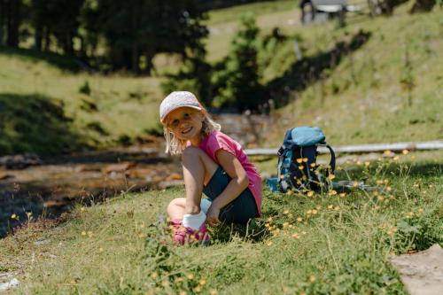Natur- und Wellnesshotel Höflehner - image 6
