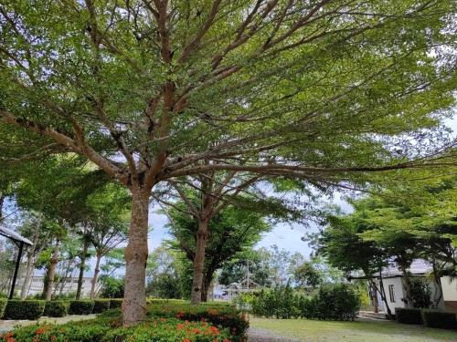 แกรนด์ ฟอเรสท์ Grand Forest – Chanthaburi, VA