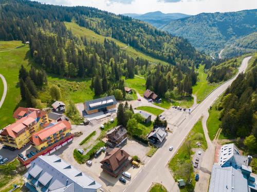 Mit c, Feldberg (Schwarzwald) (Foto 10)