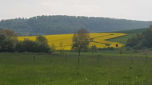 Ferienwohnung Lebensfreude Höxter im Weserbergland