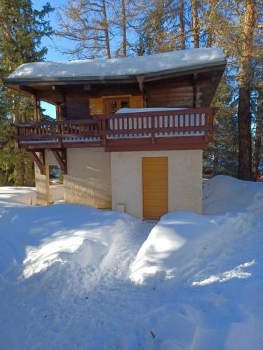 Chalet Le Chamois Plagne centre