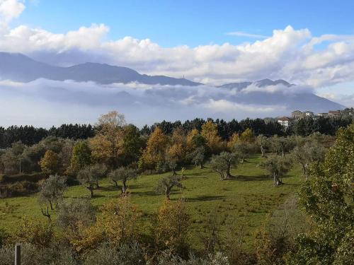 b&b Adamà