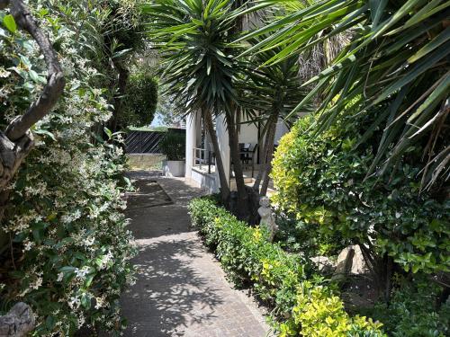 ComfortHouse LaVilla, Ladispoli (photo 9)