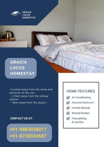 Gracia Locus- Home Comfort Dimapur