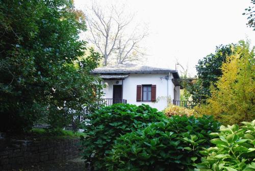 The Cottage in the Trees