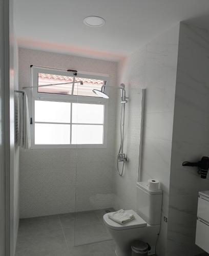 Mogan Sol - image 8