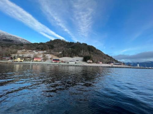 Enesi holiday house in Nordfjordeid