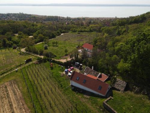 Sun & Wine Balaton