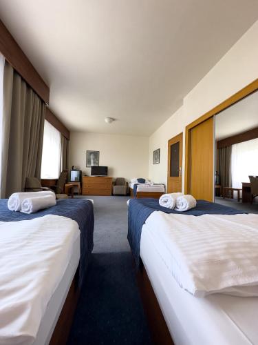 Hotel Theresia - image 12