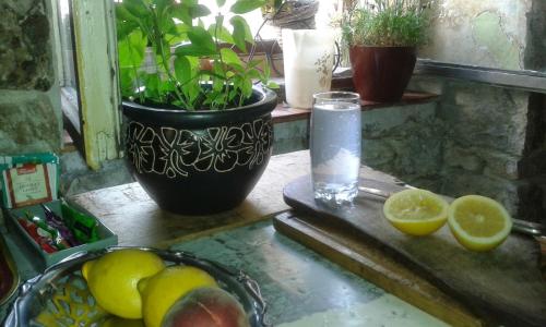 Létesítmények, Central Sibenik Apartments in Šibenik