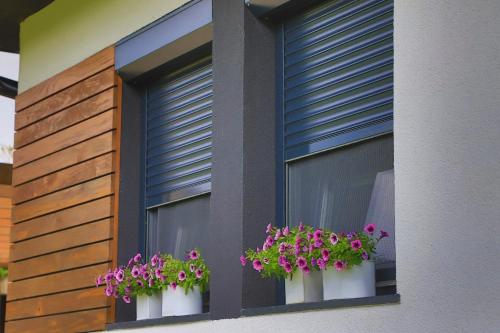 Apartment with Terrace image 5