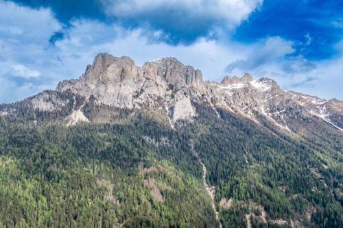 Sport & natura in Trentino! - Apartment - Campitello di Fassa