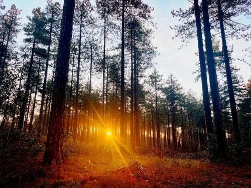 สภาพแวดล้อมโดยรอบ, Heerlijk Huisje in Bergen in แคมเพอร์ไดน์