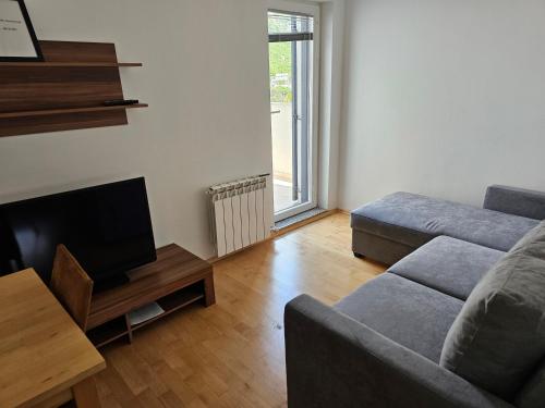 BC Apartments - image 11