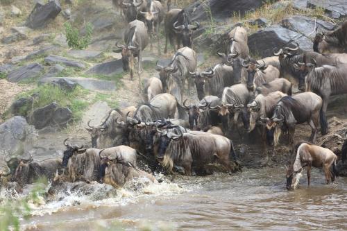 Jambo Mara Safari Lodge