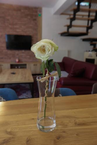 Villa Sara on river Una Villa Sara on river Una