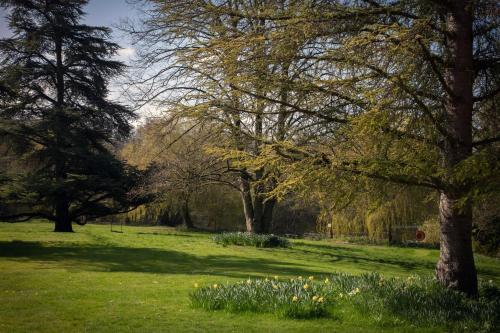 Norton Park - QHotels - image 5
