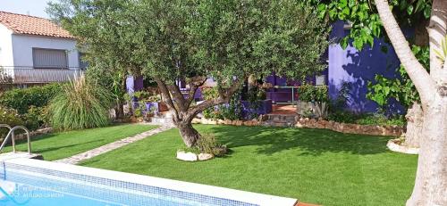 La torre in 羅多尼亞