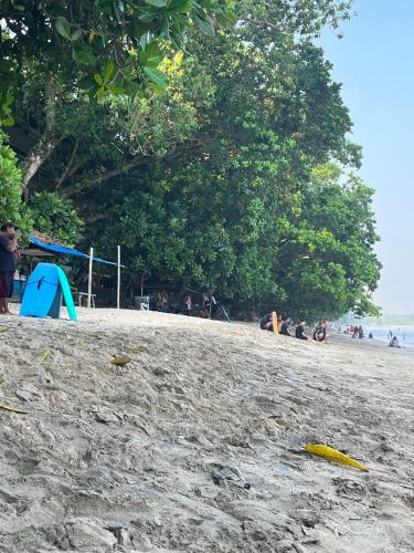 DAMPAR BEACH C3 SELATAN KM69