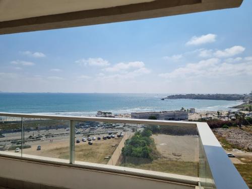 Ducks on the beach in 阿卡