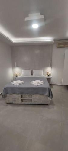v&n villa santorini gîte à louer Kontochóri