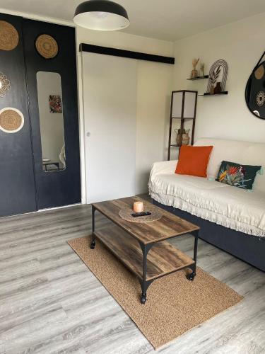 Guestroom, Studio avec terrasse - Piscine - free parking in Rangueil
