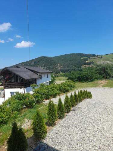 A FRAME 1 TRANSALPINA