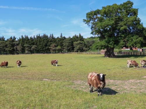 Shorthorn Barn