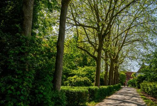 Natuurhuisjes Lust en Last