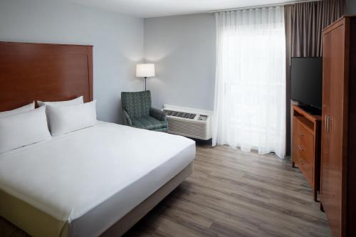 King Room with Roll-In Shower - Disability Access