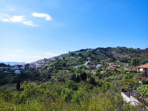 Cozy Mountain View in Loutraki Skopelosa