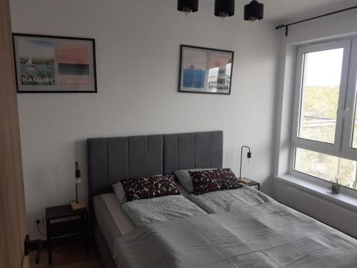 1 queen bed, 1 sofa bed
