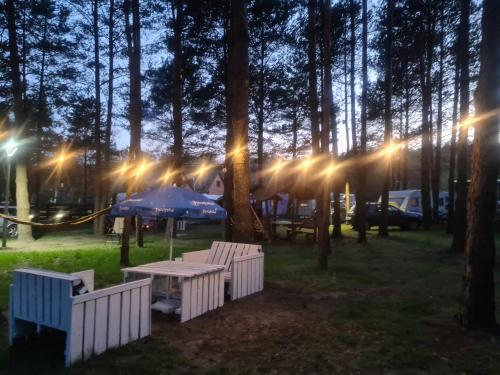 . Camping nad Warta