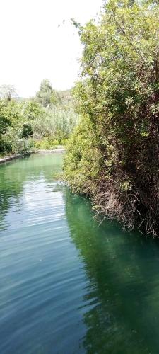 A környék, La Viajera Espadan in Algímia d'Almonesir