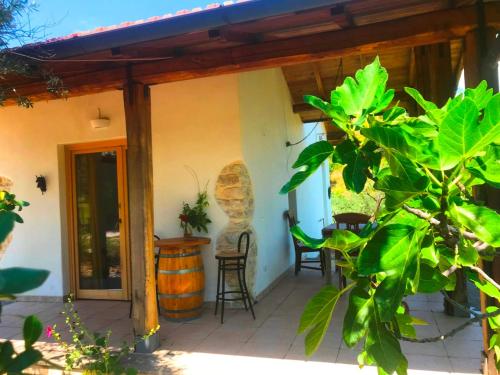 Tenuta del Casale del Jazz - Jazz Emotional Experience - Rooms & Camping in the Countryside in Other