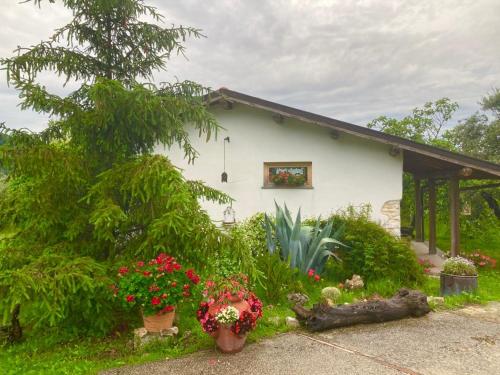 Tenuta del Casale del Jazz - Jazz Emotional Experience - Rooms & Camping in the Countryside in Other