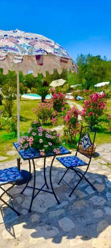 Tenuta del Casale del Jazz - Jazz Emotional Experience - Rooms & Camping in the Countryside in Other