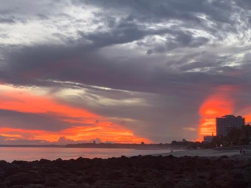 Casa Swell Coronado A unique blend of luxury and nature in the hearth of Coronado