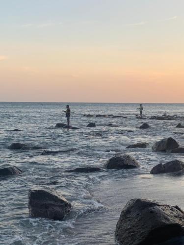 Casa Swell Coronado A unique blend of luxury and nature in the hearth of Coronado