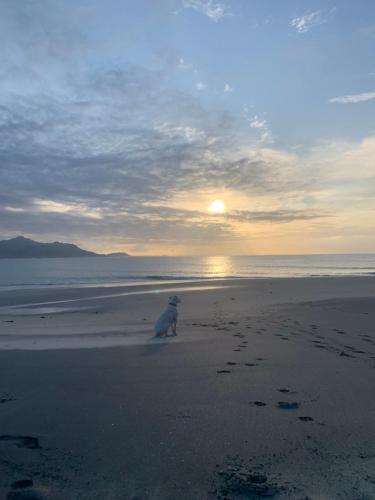 Casa Swell Coronado A unique blend of luxury and nature in the hearth of Coronado