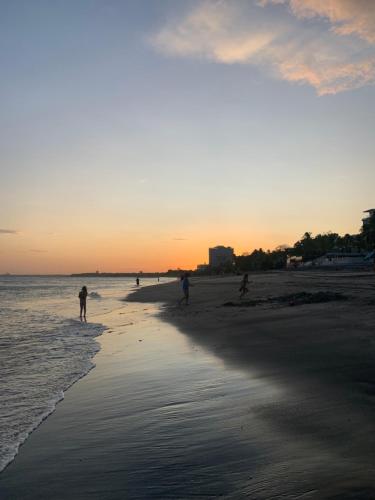 Casa Swell Coronado A unique blend of luxury and nature in the hearth of Coronado