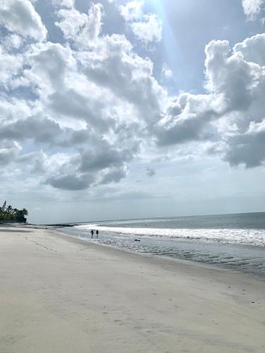 Casa Swell Coronado A unique blend of luxury and nature in the hearth of Coronado