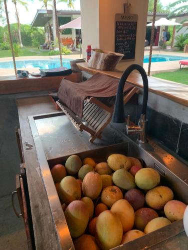 Casa Swell Coronado A unique blend of luxury and nature in the hearth of Coronado