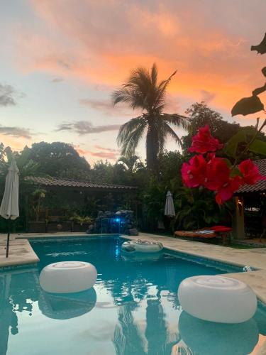 Casa Swell Coronado A unique blend of luxury and nature in the hearth of Coronado