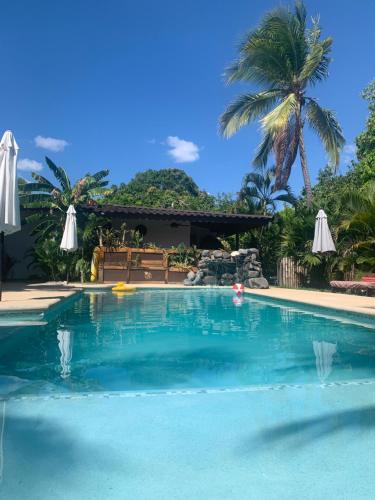 Casa Swell Coronado A unique blend of luxury and nature in the hearth of Coronado